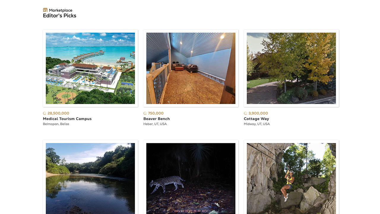 Screenshot of a french page built by Matie Natov.