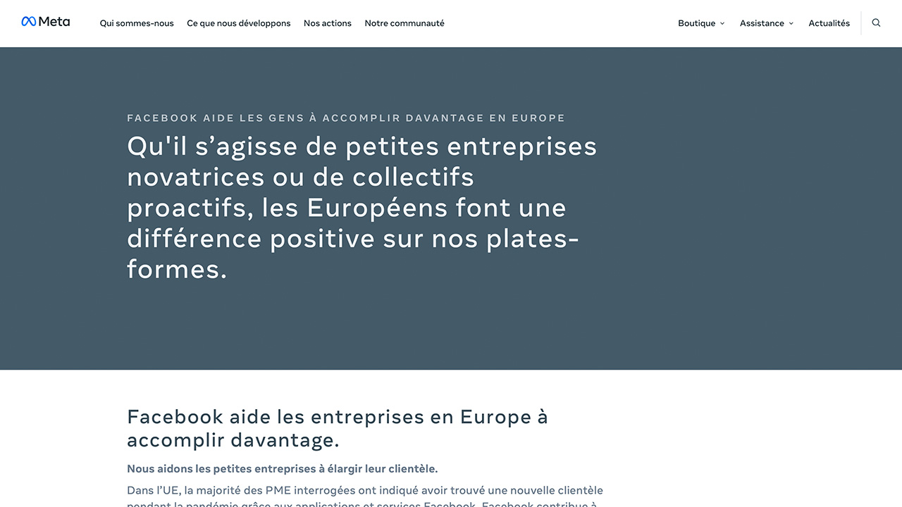 Screenshot of a french page built by Matie Natov.