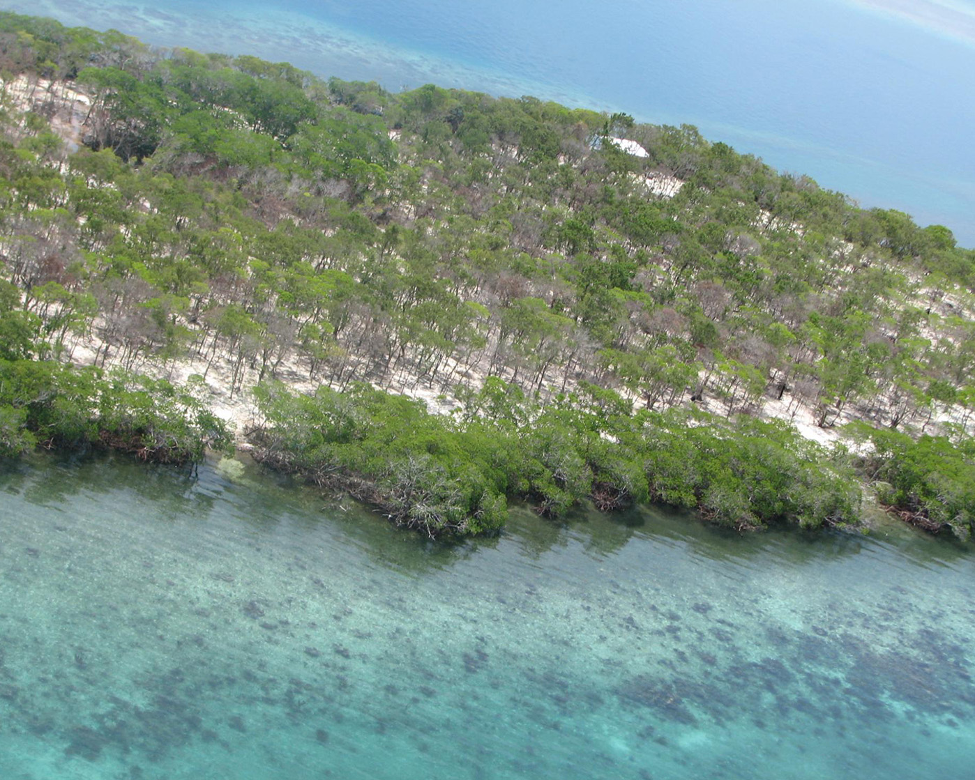 Image of ocean sand beach property for sale in belmopan area, Belize.